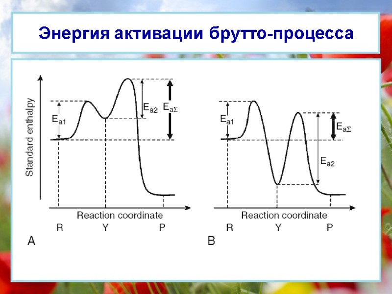 Энергия активации брутто-процесса